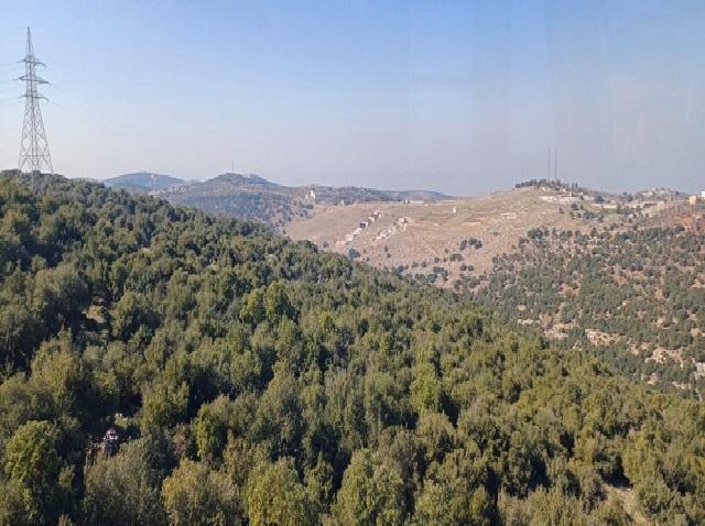 الإحصاءات العامة: ارتفاع مساحة المحميات الطبيعية بنسبة 2.3% خلال العشر سنوات الأخيرة