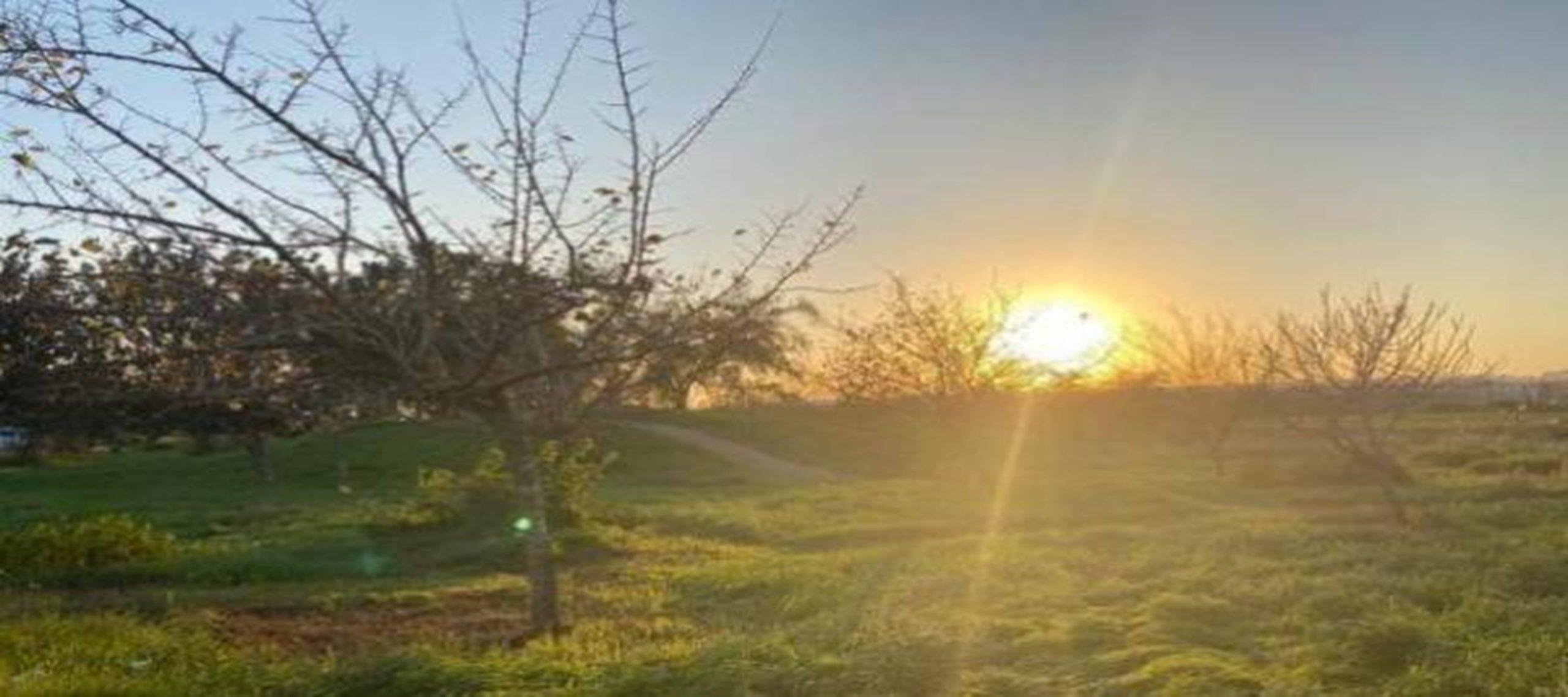 أجواء دافئة ودرجات الحرارة أعلى من معدلاتها في مختلف المناطق