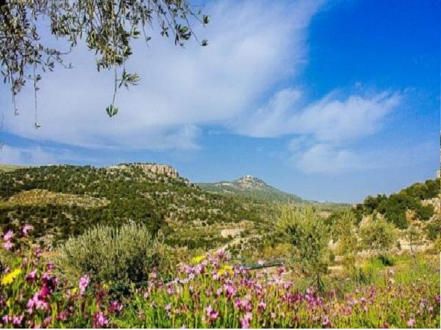 طقس لطيف الحرارة حتى صباح الأربعاء