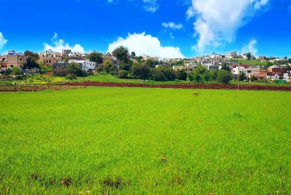 عجلون: متخصصون يؤكدون أهمية التنوع البيولوجي في تعزيز الغطاء النباتي