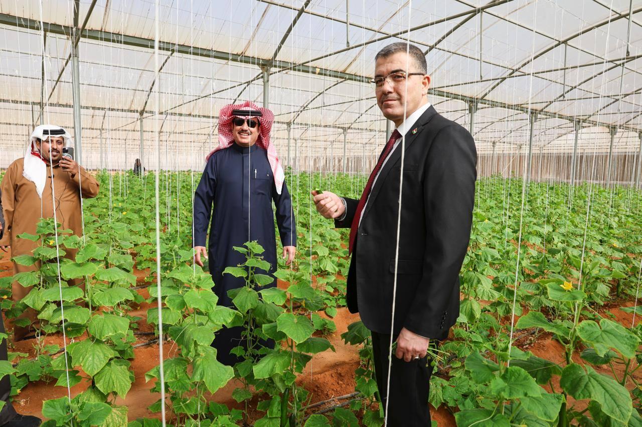 عجلون: مختصون يؤكدون أهمية التحول للزراعات الذكية لتحقيق التنمية