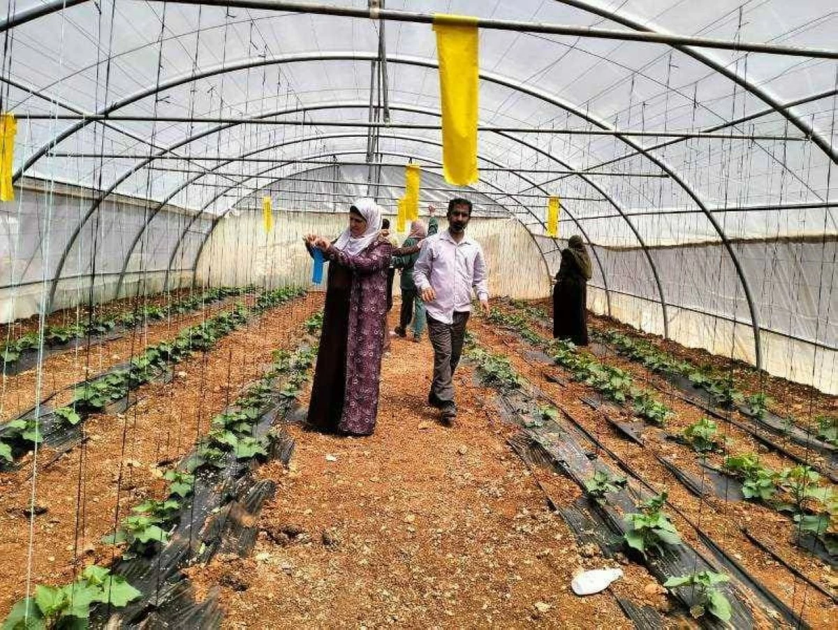 عجلون: المدارس الحقلية تعزز مهارات المزارعين وتدعم التنمية الزراعية