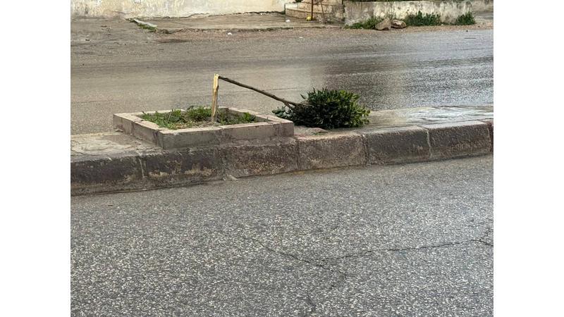 بلدية غرب إربد: الممتلكات العامة والخدمات وُجدت لخدمة المجتمع