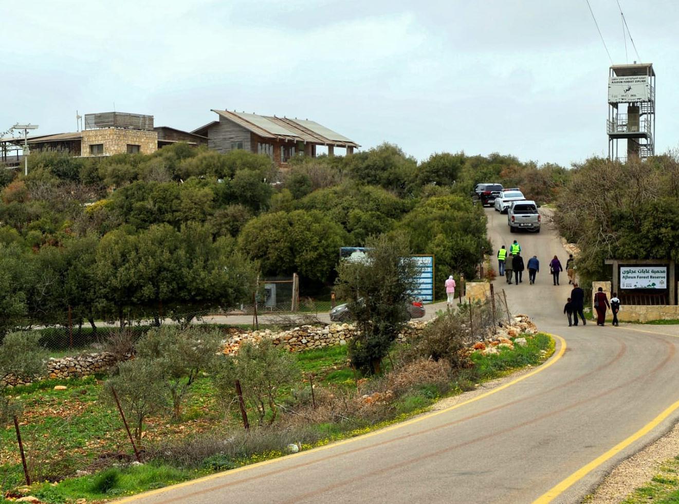 عجلون:اليوم الدولي للغابات تعزيز لجهود الحفاظ على الثروة الحرجية
