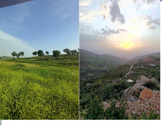 مرج زبيد راجب .... بساط أخضر يعكس جمال عجلون