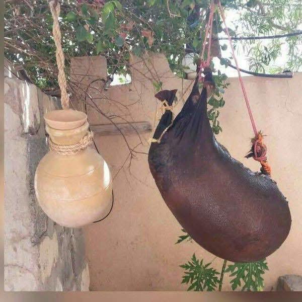 الشَّكْوة تعود لتصنع نكهة الماضي في عجلون