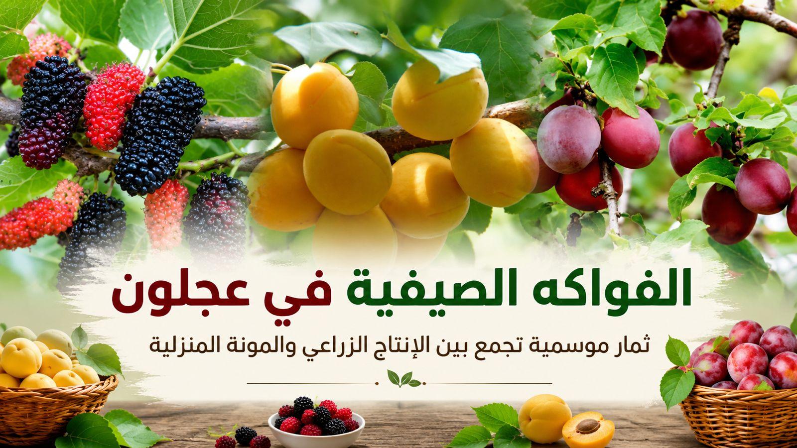الفواكه الصيفية بعجلون.. ثمار موسمية تجمع بين الإنتاج الزراعي والمونة المنزلية