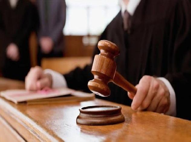 إحالة 98 قضية بيئية للنائب العام